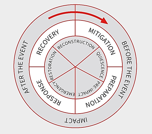 Figure-1. A schematic representation of the Disaster Risk Management Cycle (from Alexander, D.E., Principles of Emergency Planning and Management, Oxford University Press Inc, USA, 2002)
